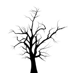Dried tree 