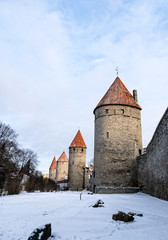 Part of the medieval city wall in Tallinn, Estonia

