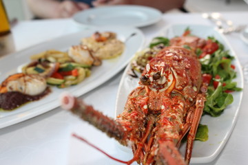 lobster and seafood