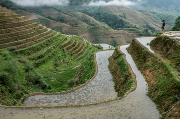 Lonjii rice terraces, Reflexes, Guilin, China