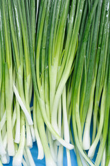 Green onions floating on water