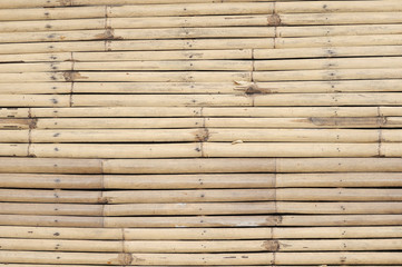 Litter bamboo use for background
