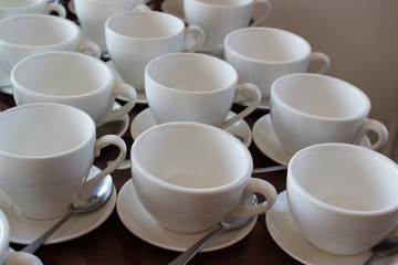 many white cup