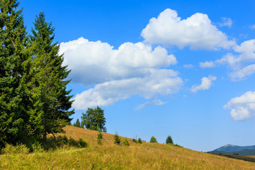 Summer mountain view (Carpathian, Ukraine).