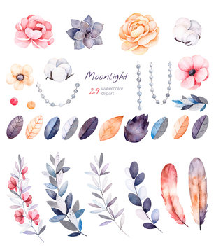 Beautiful  Winter Collection With Branches,cotton Plants,flowers,strings Of Pearls,colorful Leaves.Winter Floral Collection With 29 Watercolor Elements.Set Of Floral Elements.Moonlight Collection.