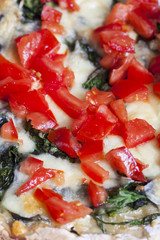 Spinatpizza closeup