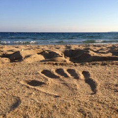 main dans le sable à la plage