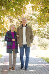 Obraz premium Senior couple relaxing together on a sunny autumn day at park