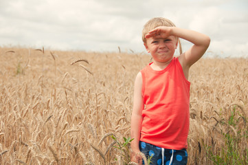 A boy in a rye field holding his hand infant of forehead