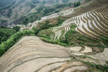 Lonjii rice terraces, Aerial view,  Guilin, China