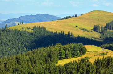 Obraz premium Summer mountain view (Carpathian, Ukraine).