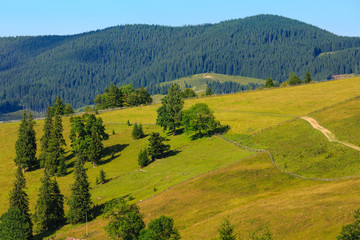 Fototapeta na wymiar Summer mountain view (Carpathian, Ukraine).