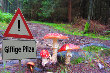 Achtung Giftige Pilze