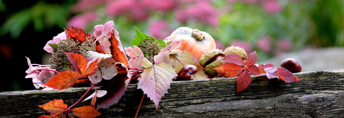 alle Farben des Herbstes, Zierkürbis mit Kastanien, Hortensien und rotem Weinlaub auf Holzbank im...