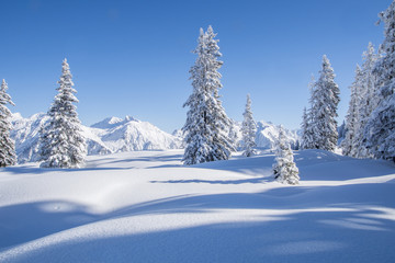 Verschneite Winterlandschaft