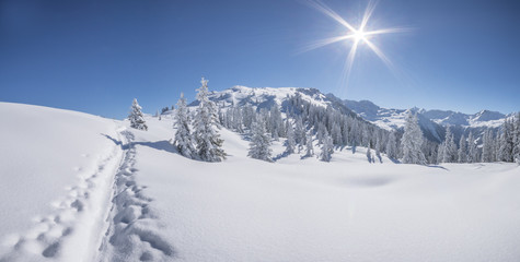 Tief verschneite Winterlandschaft
