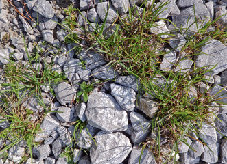 autumn atmosphere     © amadeusz