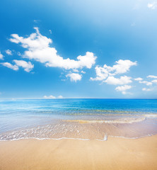 beach and tropical sea