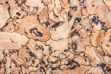 Brown cork board background.