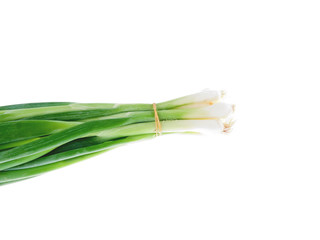 a bundle of spring onions