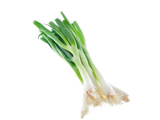 a bundle of spring onions