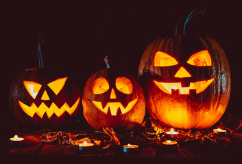 Halloween Pumpkins head jack lantern on the old boards in a spooky night landscape. Soft focus. shallow DOF