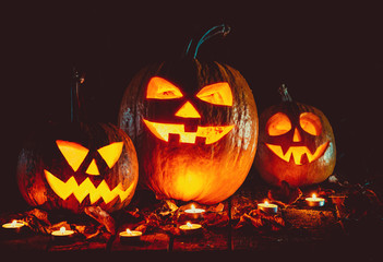 Halloween Pumpkins head jack lantern on the old boards in a spooky night landscape. Soft focus. shallow DOF