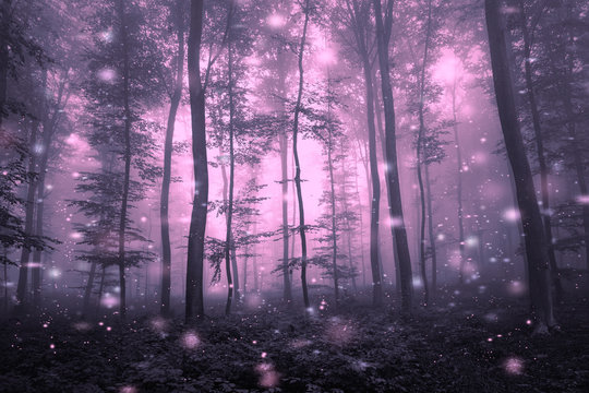 Fototapeta Artistic purple color foggy forest tree fairytale landscape with abstract fireflies. 