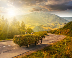 cart with hay on the way to mountains at sunset