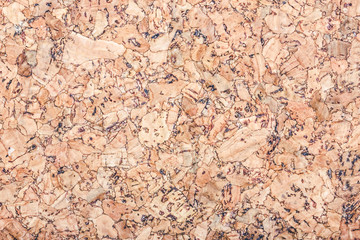 Brown cork board background.
