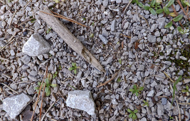 autumn atmosphere     © amadeusz