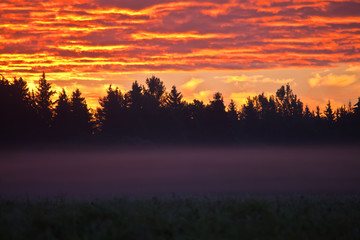 Clouds painted the sun rays and the fog at sunrise