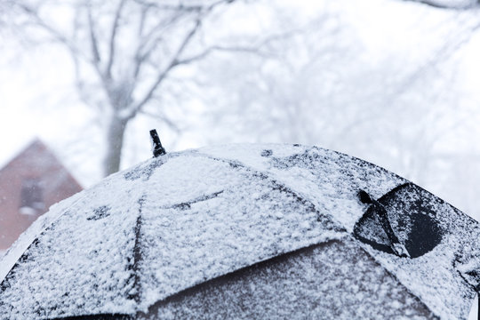 Regenschirm bedeckt mit Schnee