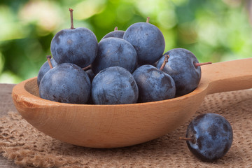 blackthorn berries in a wooden spoon on table with sacking and blurred background