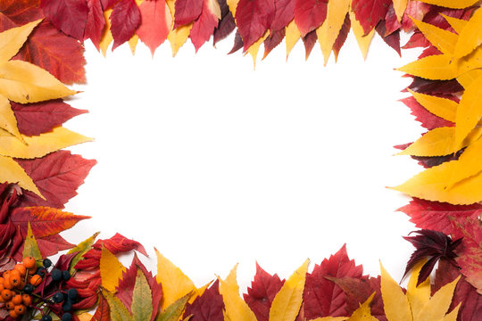 Frame of autumn leaves isolated on white background