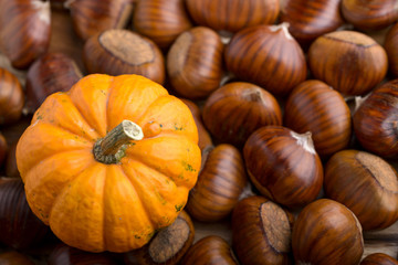 small decorative pumpkin on raw chestnut background