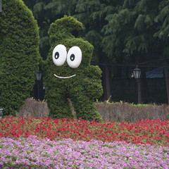 shang10035.jpg