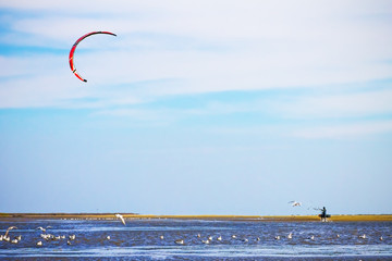 man floats on a kite at sea, sport background
