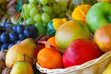 Autumn fruits: apples, pears, grapes and small pumpkins. Thanksgiving concept.