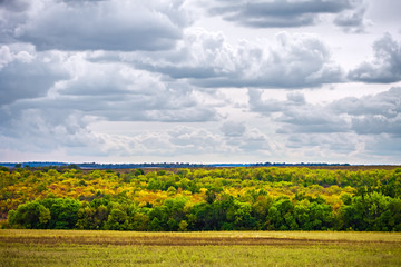 autumn landscape, yellowing trees, nature background