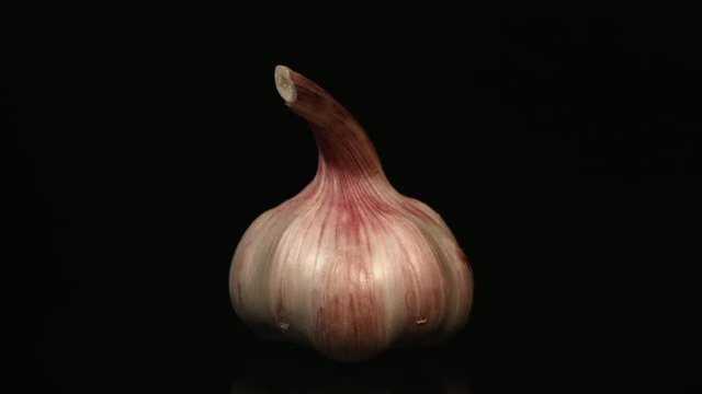 Organic garlic on black background