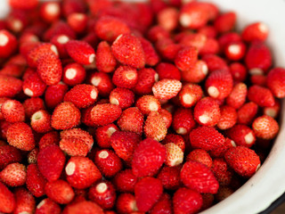 Forest strawberries in bowl

