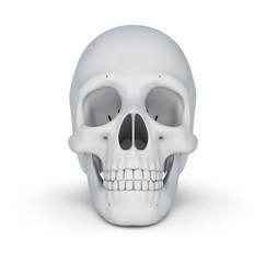 White skull over white,  3D illustration