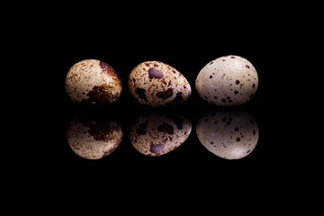 Three quail eggs isolated on black reflective background