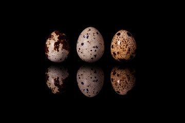 Three quail eggs isolated on black reflective background