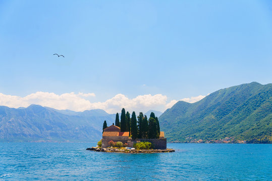 Seagull flying over an island in the Boko Kotor Bay, Montenegro.