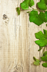 grapevine on a wooden background