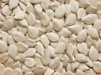 dried seeds of pumpkin