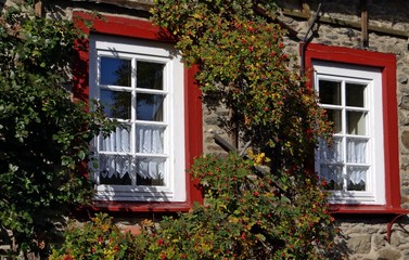 Holzfenster Fassade 