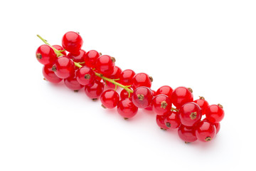 Red Currant close up isolated on white.